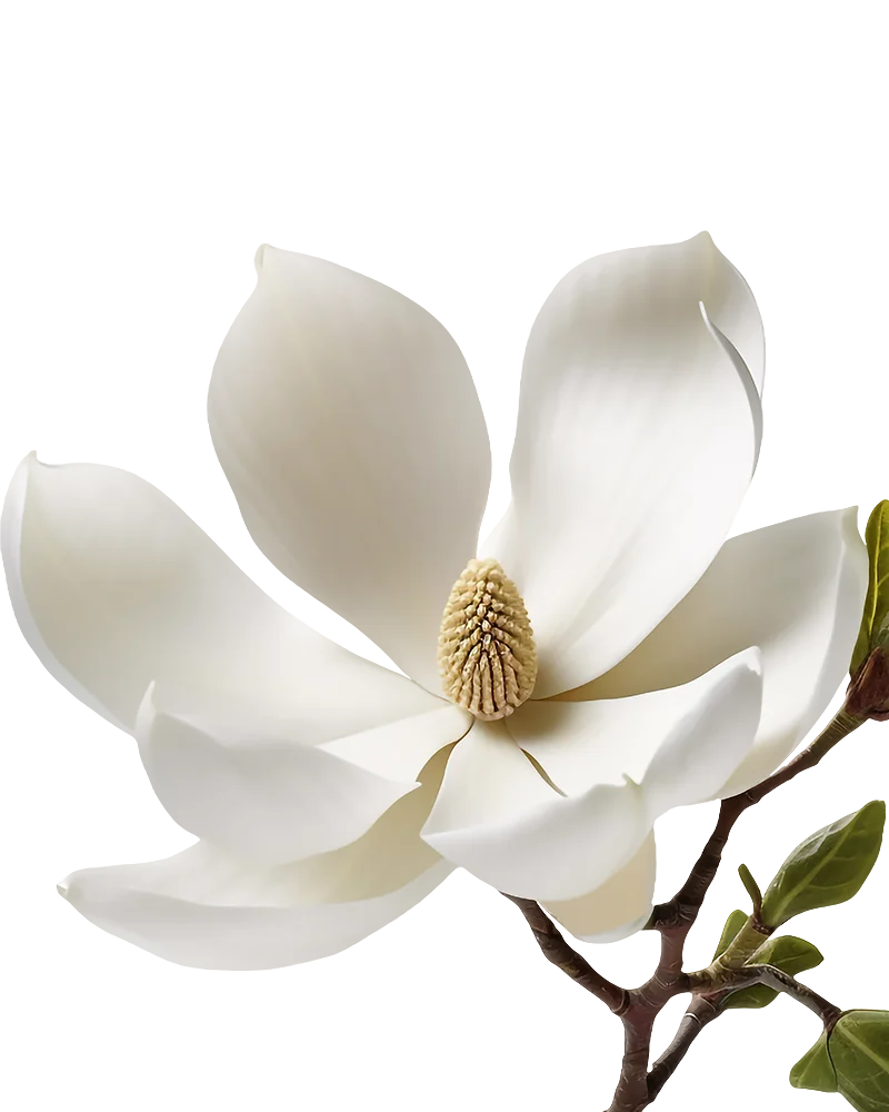 UI/UX дизайн
интерфейсов